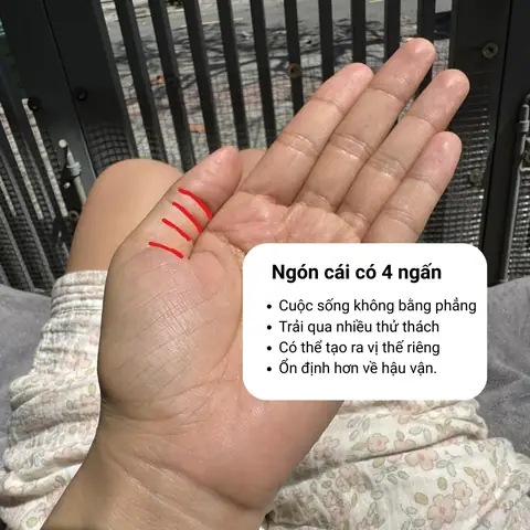 Xem Tướng Ngón Tay Cái Công: Ý Nghĩa Đời, Vận Và Tính Cách Qua Hình Dáng Ngón Cái Xem Tướng Ngón Tay Cái Công: Ý Nghĩa Đời, Vận Và Tính Cách Qua Hình Dáng Ngón Cái
