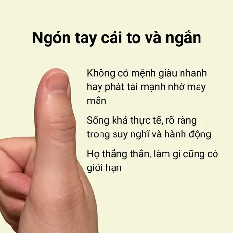 Xem Tướng Ngón Tay Cái Công: Ý Nghĩa Đời, Vận Và Tính Cách Qua Hình Dáng Ngón Cái Xem Tướng Ngón Tay Cái Công: Ý Nghĩa Đời, Vận Và Tính Cách Qua Hình Dáng Ngón Cái