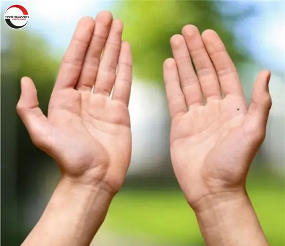 Cách Xem Tướng Ngón Tay Nam Chi Tiết: Đoán Vận Mệnh, Tính Cách Và Sự Nghiệp Qua 5 Ngón Tay Cách Xem Tướng Ngón Tay Nam Chi Tiết: Đoán Vận Mệnh, Tính Cách Và Sự Nghiệp Qua 5 Ngón Tay