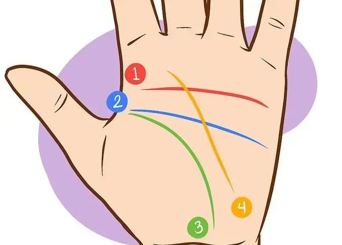 Cách Xem Tướng Ngón Tay Nam Chi Tiết: Đoán Vận Mệnh, Tính Cách Và Sự Nghiệp Qua 5 Ngón Tay Cách Xem Tướng Ngón Tay Nam Chi Tiết: Đoán Vận Mệnh, Tính Cách Và Sự Nghiệp Qua 5 Ngón Tay
