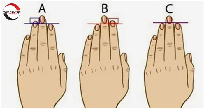 Cách Xem Tướng Ngón Tay Nam Chi Tiết: Đoán Vận Mệnh, Tính Cách Và Sự Nghiệp Qua 5 Ngón Tay Cách Xem Tướng Ngón Tay Nam Chi Tiết: Đoán Vận Mệnh, Tính Cách Và Sự Nghiệp Qua 5 Ngón Tay
