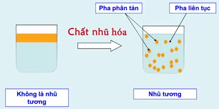 Xem Tướng Nhũ Hoa: Giải Mã 9+ Loại Tướng, Ý Nghĩa Màu Sắc, Kích Thước Và Dấu Hiệu Vận Mệnh