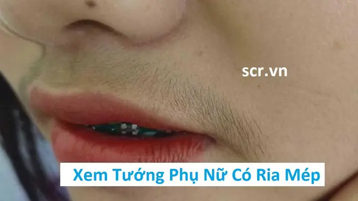 Giải Mã Ý Nghĩa Tướng Số Và Khoa Học Về Phụ Nữ Có Ria Mép Giải Mã Ý Nghĩa Tướng Số Và Khoa Học Về Phụ Nữ Có Ria Mép