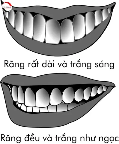 Giải Mã Tướng Răng Hàm Dưới: Ý Nghĩa Nhân Tướng Học, Đoán Tính Cách & Vận Mệnh Chi Tiết Giải Mã Tướng Răng Hàm Dưới: Ý Nghĩa Nhân Tướng Học, Đoán Tính Cách & Vận Mệnh Chi Tiết