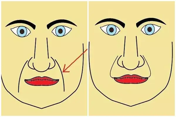 Cách Xem Tướng Râu Rồng Chuẩn Nhất: Giải Mã Ý Nghĩa Hình Dáng, Nốt Ruồi Và Vận Mệnh Nam/nữ