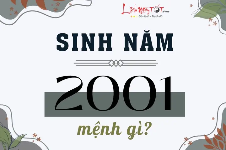 Xem Tướng Số Ngày 23-5-2001: Lịch Âm Dương, Tử Vi Và Vận Mệnh Tuổi Tân Tỵ Xem Tướng Số Ngày 23-5-2001: Lịch Âm Dương, Tử Vi Và Vận Mệnh Tuổi Tân Tỵ