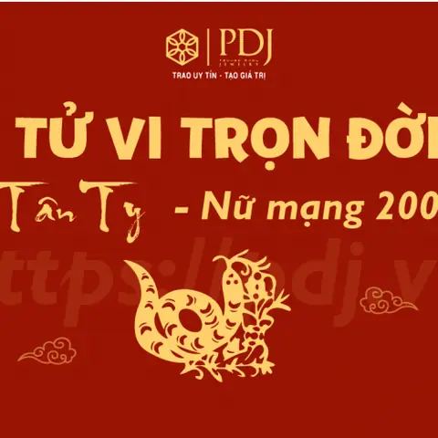 Xem Tướng Số Tuổi Tân Tỵ 2001 Nữ Mạng Sinh Ngày 23-5: Mệnh, Cung Phi Và Vận Hạn Cuộc Đời