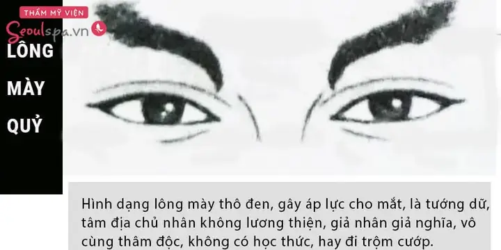 Xem Tướng Số Qua Chân Mày: Ý Nghĩa Lông Mày Nam Nữ Và Dự Đoán Vận Mệnh