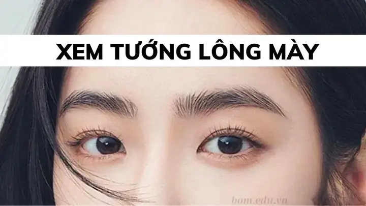 Xem Tướng Số Qua Chân Mày: Ý Nghĩa Lông Mày Nam Nữ Và Dự Đoán Vận Mệnh