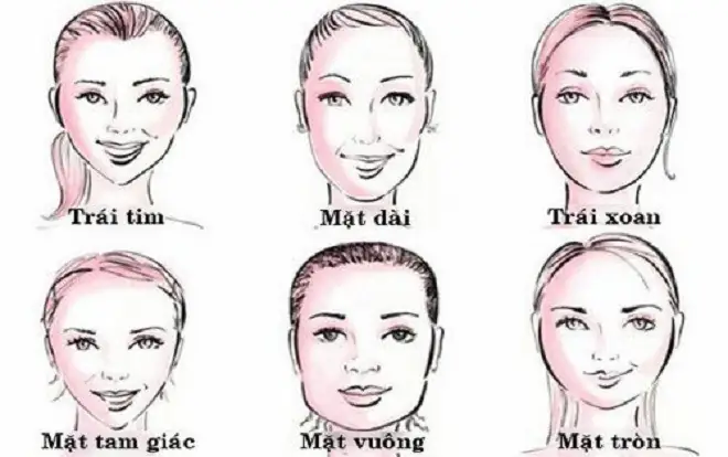 Xem Tướng Số Qua Hình Dáng Khuôn Mặt: Giải Mã Tính Cách Và Vận Mệnh Theo Nhân Tướng Học