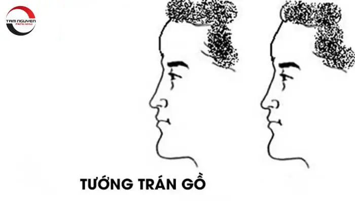 Hướng Dẫn 25+ Cách Xem Tướng Trán Chuẩn Xác: Giải Mã Hình Dáng, Nếp Nhăn, Cung Vị Đoán Vận Mệnh, Tính Cách Hướng Dẫn 25+ Cách Xem Tướng Trán Chuẩn Xác: Giải Mã Hình Dáng, Nếp Nhăn, Cung Vị Đoán Vận Mệnh, Tính Cách