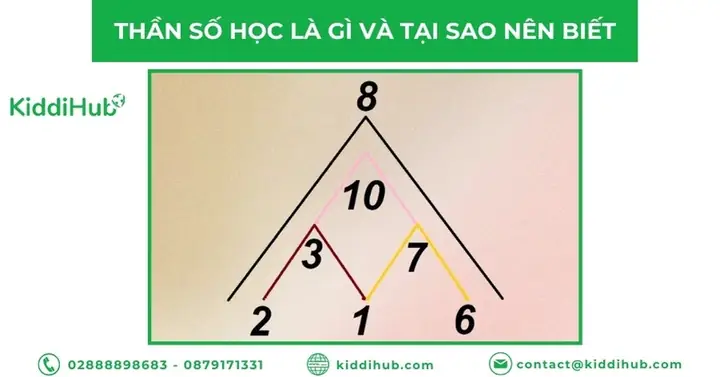 Tra Cứu Xem Tướng Số Theo Ngày Sinh: Tử Vi, Thần Số Học Và Các Công Cụ Online
