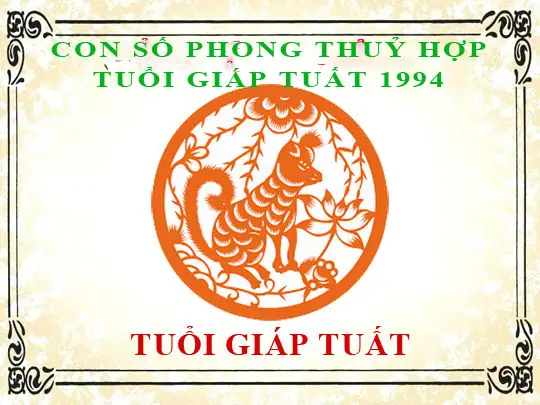 Xem Tử Vi Trọn Đời Tuổi Giáp Tuất 1994: Mệnh, Hợp Tuổi, Màu, Số May Mắn & Vận Mệnh Nam Nữ