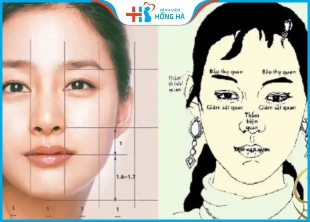 Xem Tướng Sửa Mũi Ở Đầu: Những Dáng Mũi Phú Quý Không Nên Can Thiệp Thẩm Mỹ Xem Tướng Sửa Mũi Ở Đầu: Những Dáng Mũi Phú Quý Không Nên Can Thiệp Thẩm Mỹ
