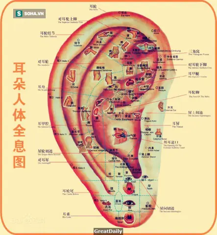 Xem Tướng Tay Sống Thọ: Cách Nhìn Đường Sinh Mệnh & 6 Đặc Điểm Bàn Tay Người Tuổi Cao Xem Tướng Tay Sống Thọ: Cách Nhìn Đường Sinh Mệnh & 6 Đặc Điểm Bàn Tay Người Tuổi Cao