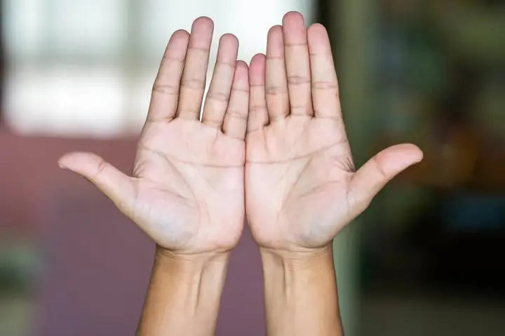 Xem Tướng Tay Sống Thọ: Cách Nhìn Đường Sinh Mệnh & 6 Đặc Điểm Bàn Tay Người Tuổi Cao Xem Tướng Tay Sống Thọ: Cách Nhìn Đường Sinh Mệnh & 6 Đặc Điểm Bàn Tay Người Tuổi Cao