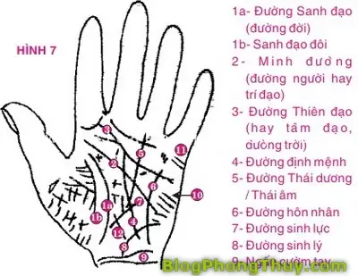 Tổng Hợp Cách Xem Tướng Tay Trên Vozforums: Từ Nhờ Cao Nhân Coi Chỉ Tay Đến Phân Tích Vân Tài Vận, Bàn Tay Chữ Nhất Tổng Hợp Cách Xem Tướng Tay Trên Vozforums: Từ Nhờ Cao Nhân Coi Chỉ Tay Đến Phân Tích Vân Tài Vận, Bàn Tay Chữ Nhất
