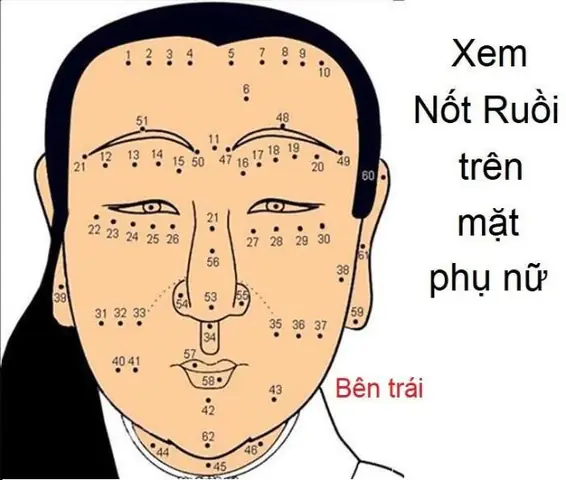 Xem Vị Trí Nốt Ruồi Cho Nam Theo Nhân Tướng Học: Ý Nghĩa Chi Tiết Từng Vùng Xem Vị Trí Nốt Ruồi Cho Nam Theo Nhân Tướng Học: Ý Nghĩa Chi Tiết Từng Vùng