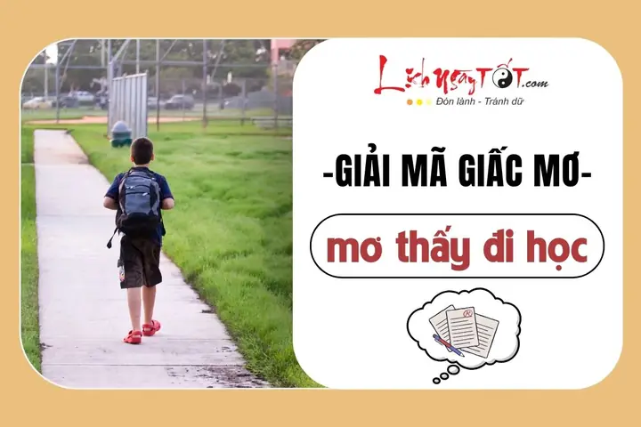 Giải Mã Ý Nghĩa Giấc Mơ Đi Học: Điềm Báo Chi Tiết, Con Số May Mắn & 20+ Tình Huống Phổ Biến