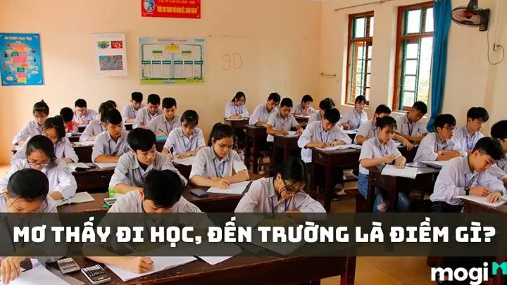 Giải Mã Ý Nghĩa Giấc Mơ Đi Học: Điềm Báo Chi Tiết, Con Số May Mắn & 20+ Tình Huống Phổ Biến