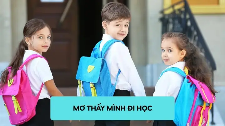 Giải Mã Ý Nghĩa Giấc Mơ Đi Học: Điềm Báo Chi Tiết, Con Số May Mắn & 20+ Tình Huống Phổ Biến