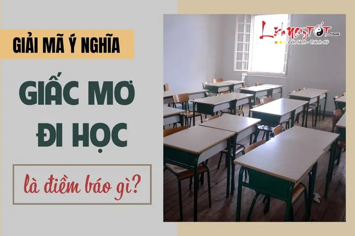 Giải Mã Ý Nghĩa Giấc Mơ Đi Học: Điềm Báo Chi Tiết, Con Số May Mắn & 20+ Tình Huống Phổ Biến