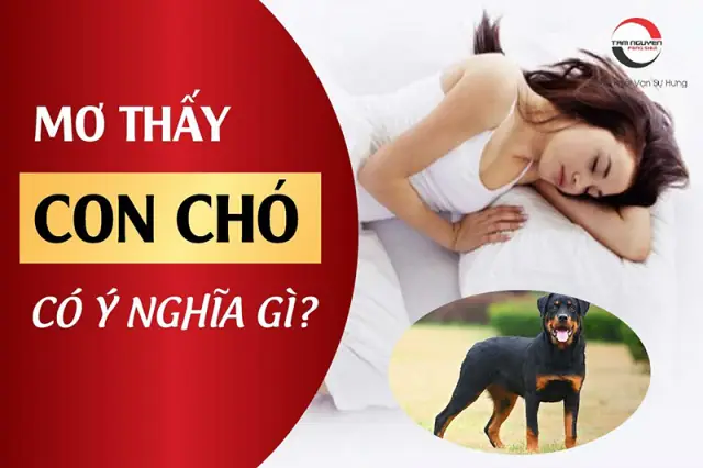 Giải Mã Ý Nghĩa Giấc Mơ Thấy Chó: Điềm Báo Tốt Xấu Và Con Số May Mắn
