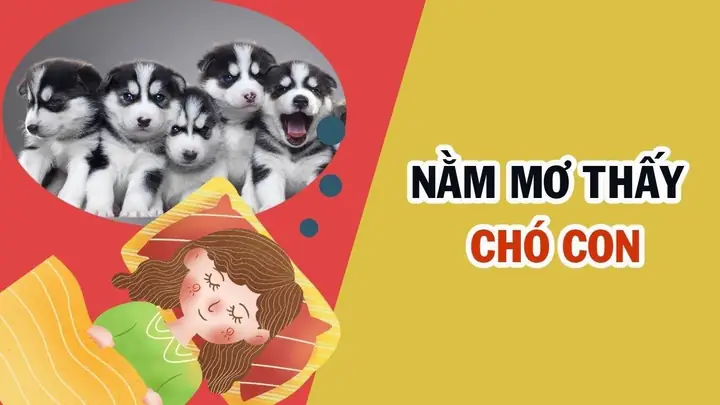 Giải Mã Ý Nghĩa Giấc Mơ Thấy Chó: Điềm Báo Tốt Xấu Và Con Số May Mắn