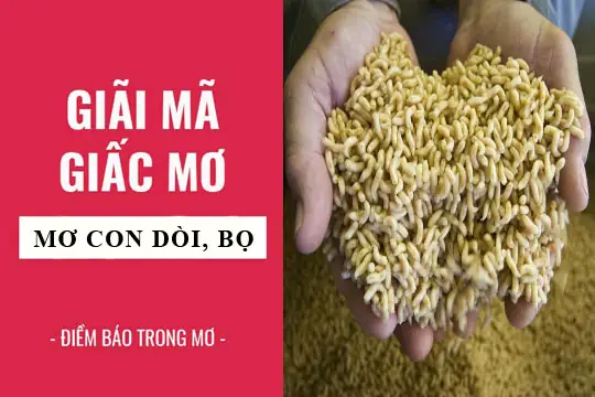 Giải Mã Giấc Mơ Thấy Con Dòi: Ý Nghĩa, Điềm Báo Và Các Yếu Tố Liên Quan Giải Mã Giấc Mơ Thấy Con Dòi: Ý Nghĩa, Điềm Báo Và Các Yếu Tố Liên Quan