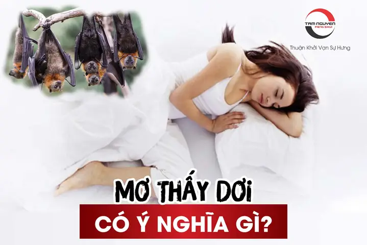 Giải Mã Giấc Mơ Thấy Con Dòi: Ý Nghĩa, Điềm Báo Và Các Yếu Tố Liên Quan Giải Mã Giấc Mơ Thấy Con Dòi: Ý Nghĩa, Điềm Báo Và Các Yếu Tố Liên Quan