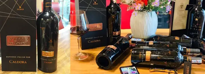Giải Mã Ý Nghĩa Giấc Mơ Yume (夢): Từ Định Nghĩa Tiếng Nhật Đến Biểu Tượng Tâm Linh Và Văn Hóa Giải Mã Ý Nghĩa Giấc Mơ Yume (夢): Từ Định Nghĩa Tiếng Nhật Đến Biểu Tượng Tâm Linh Và Văn Hóa