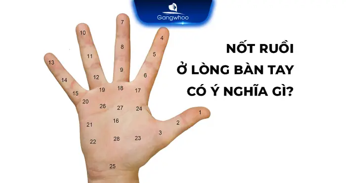 Giải Mã Ý Nghĩa Vị Trí Nốt Ruồi Trên Bàn Tay Theo Nhân Tướng Học Giải Mã Ý Nghĩa Vị Trí Nốt Ruồi Trên Bàn Tay Theo Nhân Tướng Học