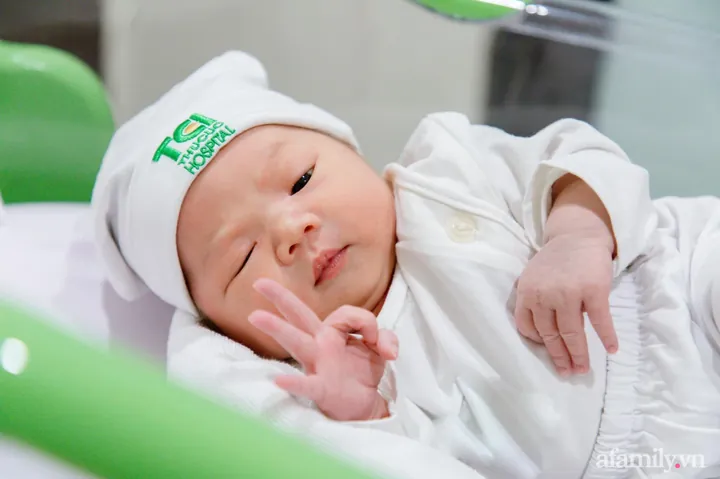 100+ Nh Bé Gái Sơ Sinh Đáng Yêu Việt Nam 4k, Chụp Nghệ Thuật Đẹp Nhất 100+ Nh Bé Gái Sơ Sinh Đáng Yêu Việt Nam 4k, Chụp Nghệ Thuật Đẹp Nhất