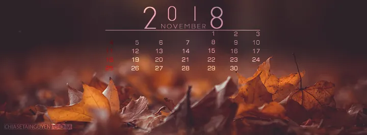 100+ Nh Bìa Cô Gái Tháng 11 Aesthetic Chill Healing Đẹp Nhất Mới Nhất 100+ Nh Bìa Cô Gái Tháng 11 Aesthetic Chill Healing Đẹp Nhất Mới Nhất