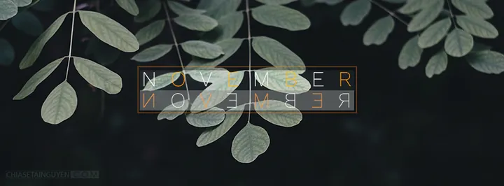 100+ Nh Bìa Cô Gái Tháng 11 Aesthetic Chill Healing Đẹp Nhất Mới Nhất 100+ Nh Bìa Cô Gái Tháng 11 Aesthetic Chill Healing Đẹp Nhất Mới Nhất