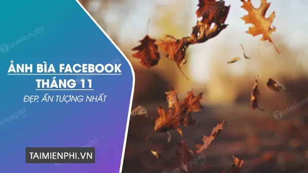 100+ Nh Bìa Cô Gái Tháng 11 Aesthetic Chill Healing Đẹp Nhất Mới Nhất 100+ Nh Bìa Cô Gái Tháng 11 Aesthetic Chill Healing Đẹp Nhất Mới Nhất