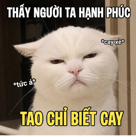 100+ Ảnh Bựa Khi Gạo Gái Cực Hài Hước, Meme Gạo Gái Thất Bại