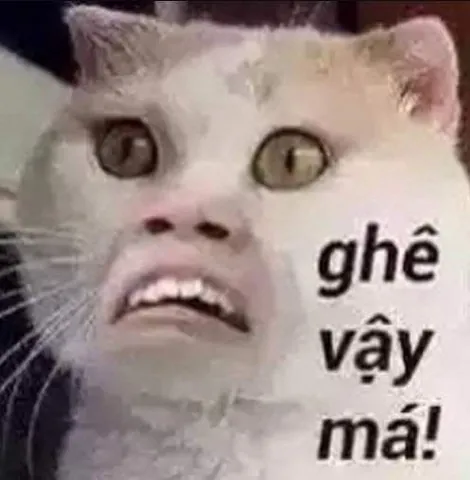 100+ Ảnh Bựa Khi Gạo Gái Cực Hài Hước, Meme Gạo Gái Thất Bại
