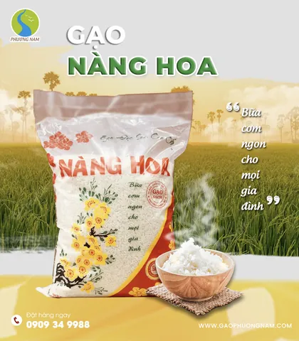 100+ Ảnh Bựa Khi Gạo Gái Cực Hài Hước, Meme Gạo Gái Thất Bại
