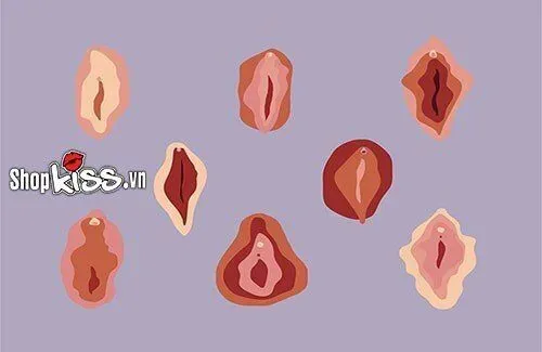 100+ Ảnh Bướm Con Gái Cực Chill, 100+ Hình Nền 4k Đẹp Mới Nhất 100+ Ảnh Bướm Con Gái Cực Chill, 100+ Hình Nền 4k Đẹp Mới Nhất