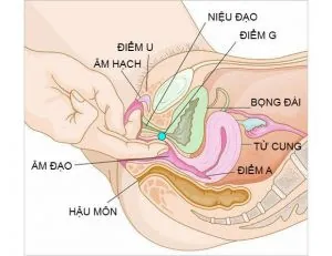 100+ Ảnh Bướm Con Gái Cực Chill, 100+ Hình Nền 4k Đẹp Mới Nhất 100+ Ảnh Bướm Con Gái Cực Chill, 100+ Hình Nền 4k Đẹp Mới Nhất