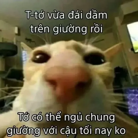 100+ Ảnh Chế Bí Kíp Cua Gái Cực Hài Hước, Chém Gió Siêu Cấp