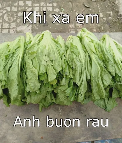 100+ Ảnh Chế Bí Kíp Cua Gái Cực Hài Hước, Chém Gió Siêu Cấp