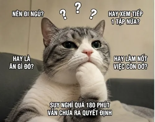 100+ Ảnh Chế Con Gái Suy Nghĩ Độc Đáo, Meme Status Cực Hay 100+ Ảnh Chế Con Gái Suy Nghĩ Độc Đáo, Meme Status Cực Hay