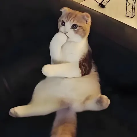 100+ Ảnh Chế Con Gái Suy Nghĩ Độc Đáo, Meme Status Cực Hay 100+ Ảnh Chế Con Gái Suy Nghĩ Độc Đáo, Meme Status Cực Hay