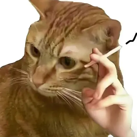 100+ Ảnh Chế Con Gái Suy Nghĩ Độc Đáo, Meme Status Cực Hay 100+ Ảnh Chế Con Gái Suy Nghĩ Độc Đáo, Meme Status Cực Hay