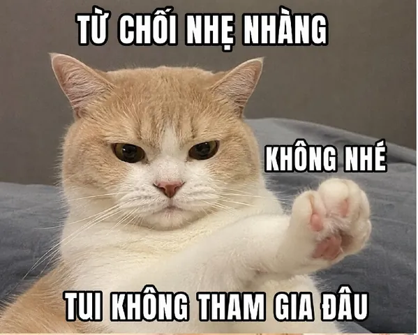 100+ Ảnh Chế Em Gái Ngoan Cực Hài Hước, 100+ Meme Em Gái Ngoan Dễ Thương