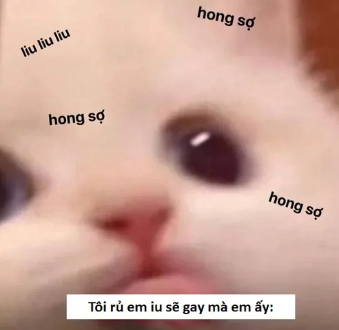 100+ Ảnh Chế Gáy Cực Hài Hước, Xem Xong Cười Ngửa Người Không Phanh 100+ Ảnh Chế Gáy Cực Hài Hước, Xem Xong Cười Ngửa Người Không Phanh