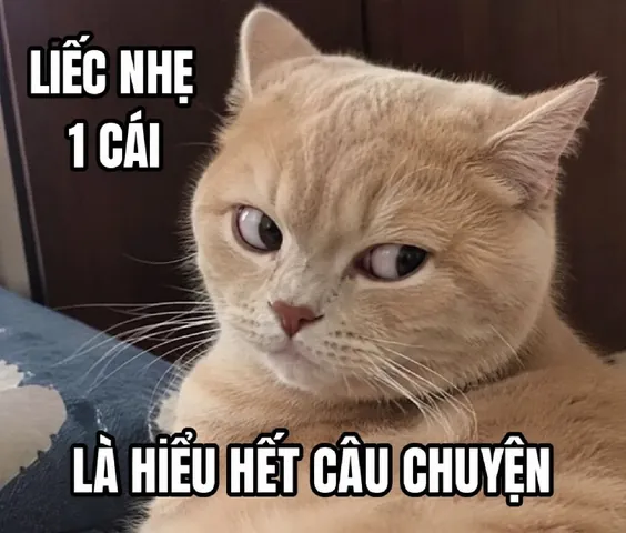 100+ Ảnh Chế Hỏi Trời Con Gái Cực Hài Hước, Meme Giải Trí "chữa Lành" Căng Thẳng 100+ Ảnh Chế Hỏi Trời Con Gái Cực Hài Hước, Meme Giải Trí "chữa Lành" Căng Thẳng
