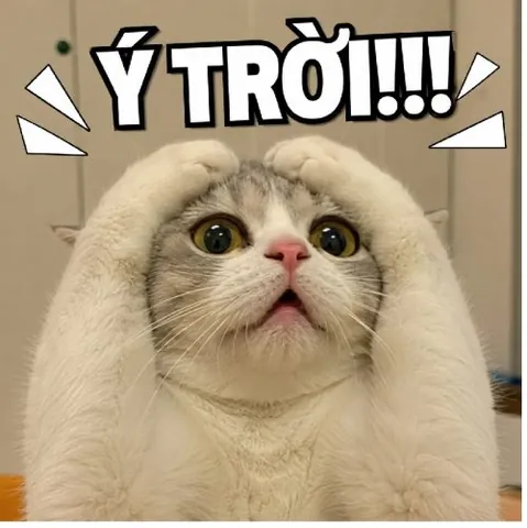 100+ Ảnh Chế Hỏi Trời Con Gái Cực Hài Hước, Meme Giải Trí "chữa Lành" Căng Thẳng 100+ Ảnh Chế Hỏi Trời Con Gái Cực Hài Hước, Meme Giải Trí "chữa Lành" Căng Thẳng